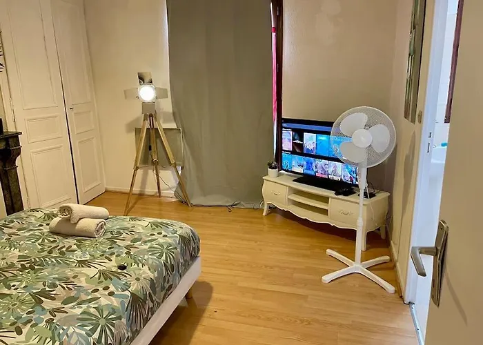 T2 Cozy Center Le Mans